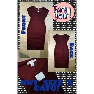 NWT CATO DRESS